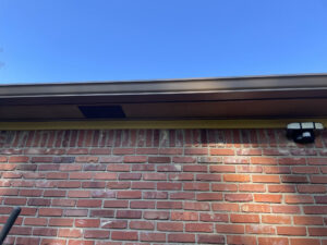 item_ab7cb12f-4eb0-4729-989d-c56d6a9c848c