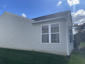 item_f8d5c817-cd0c-46b4-b89a-467a144eda55